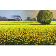 Abdul Jabbar, Passing Field, 36 x 60 Inch, Oil on Canvas, Landscape Painting, AC-ABJ-026