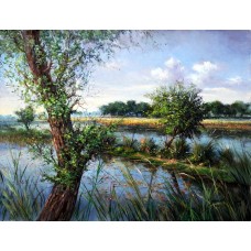 Ajab Khan,30 x 40 Inch, Oil on Canvas, Landscape Paiting, AC-AJB-003