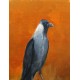 Crow Paintings
