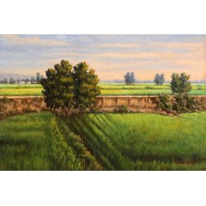 Danish Khan, 24 x 36 Inch, Oil on Canvas, Landscape Painting, AC-DNK-002