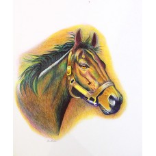 Imtiaz Ali, 14 x 16 Inch, Colour Ball Points On Paper, Horse Painting, AC-IMA-032