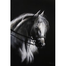 Irfan Ahmed, 24 x 36 Inch, Oil on Canvas, Horse Painting, AC-IRA-030