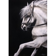 Irfan Ahmed, 24 x 36 Inch, Oil on Canvas, Horse Painting, AC-IRA-031