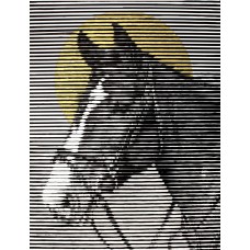 Muzammil Hussain, 28 x 36 Inch, Mixed Media on Paper, Horse Painting, AC-MZH-001