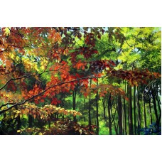 Rukhe Neelofer, 24 x 30 Inch, Acrylic on Canvas, Landscape Painting, AC-RNZ-029