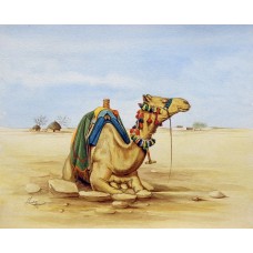 S. A. Noory, Camel of desert II, 12 x 15 Inch, Watercolor on Paper, AC-SAN-022