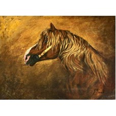 S. M. fawad,  12 x 16 Inch, Oil on Canvas, Horse Painting, AC-SMF-044