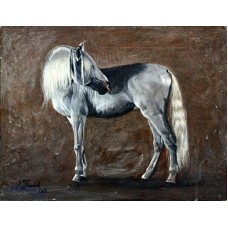 S. M. fawad,  13 x 16 Inch, Oil on Canvas, Horse Painting, AC-SMF-043