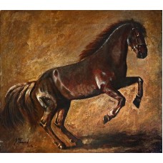 S. M. fawad, 15 x 16 Inch, Oil on Canvas, Horse Painting, AC-SMF-045