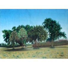 Saifullah, 18 x 24 Inch,  Acrylics on Canvas,  Landscape Painting, AC-SAF-005