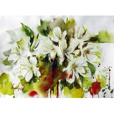 Shaima umer, 11 x 15 Inch, Water Color on Paper, Floral Painting, AC-SHA-011