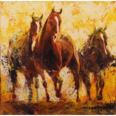 Shan Amrohvi, 12 x 12 inch, Acrylic On Canvas, Horse Painting, AC-SA-144