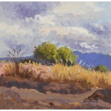 Tahir Bilal Ummi, 12 x 12 Inch, Oil on Canvas, Landscape Painting, AC-TBL-023