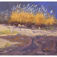 Tahir Bilal Ummi, 12 x 12 Inch, Oil on Canvas, Landscape Painting, AC-TBL-032